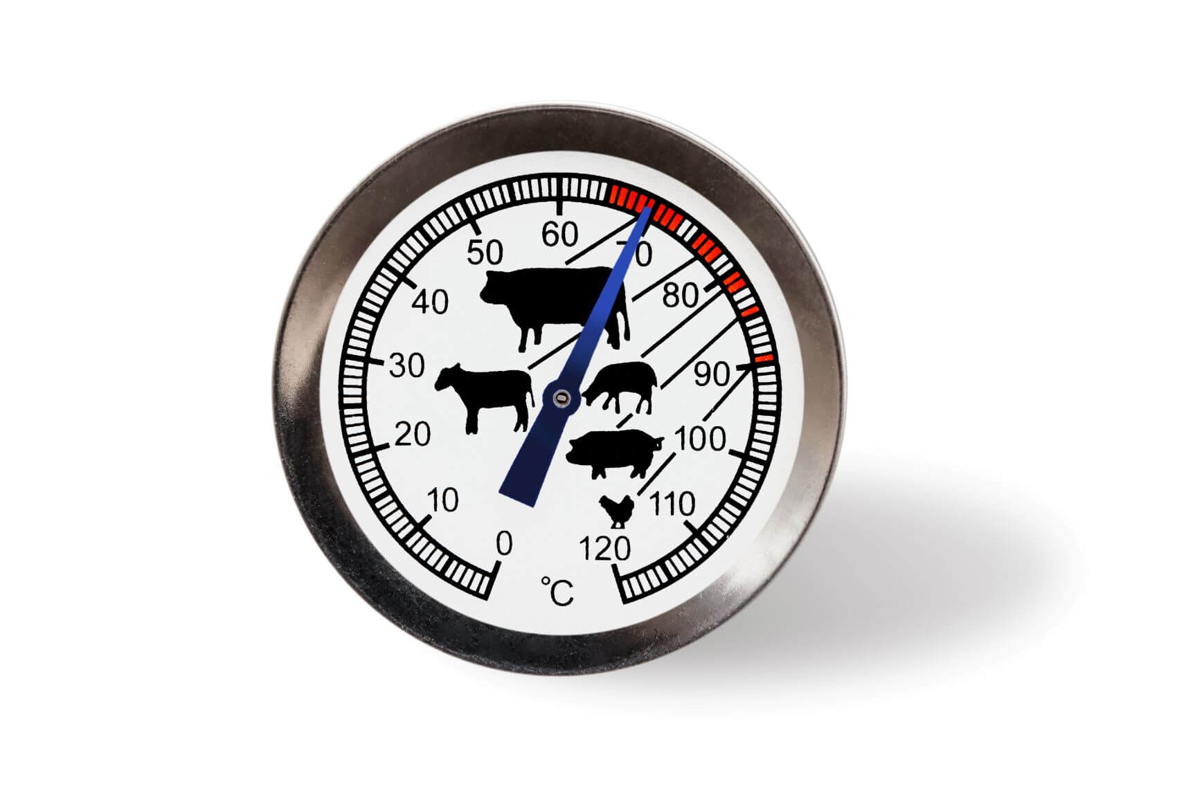 meat thermometer