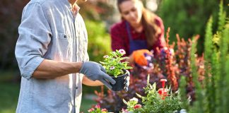How Gardening Can Improve Your Health and Your Home