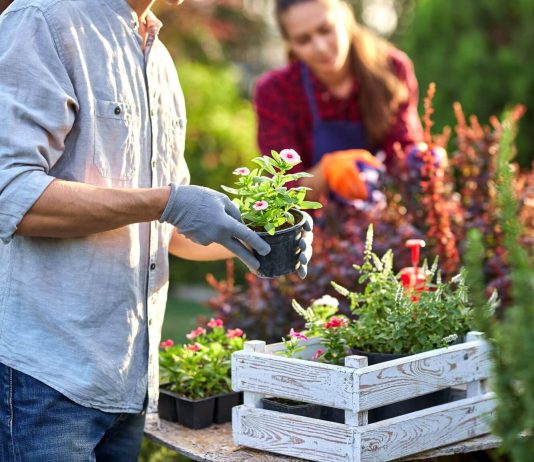How Gardening Can Improve Your Health and Your Home