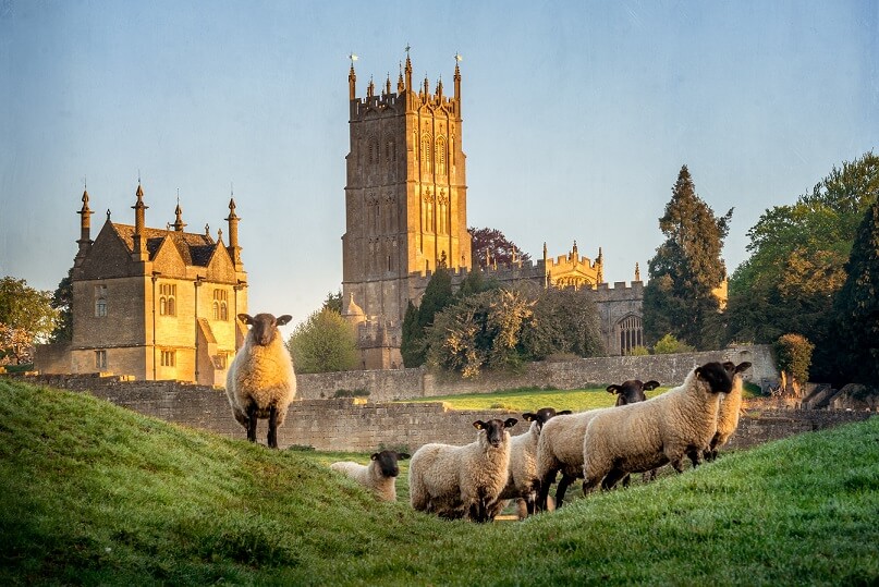 english countryside with sheep and church