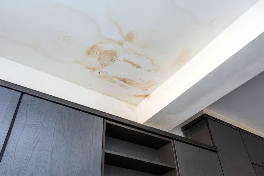 signs of damp in house